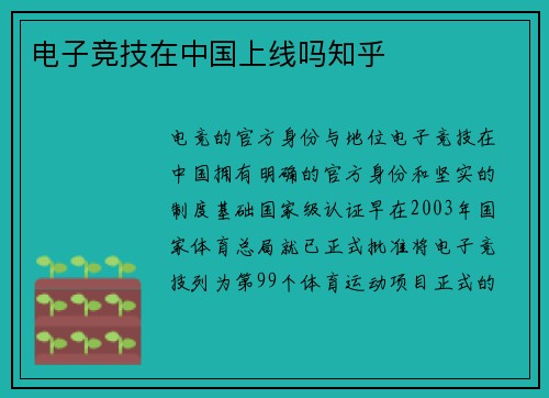 电子竞技在中国上线吗知乎